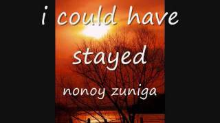 i should have stayed