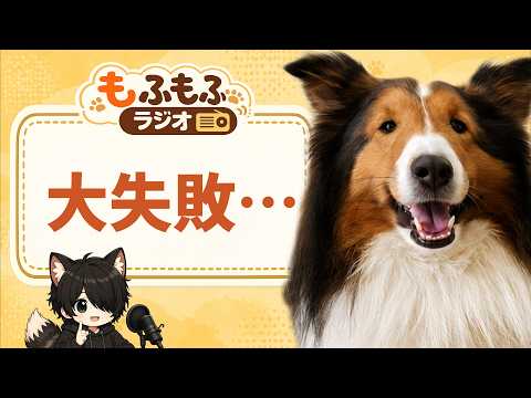 Talking Dog Rinta - YouTube