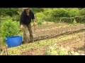 Jardin du Marais.Yves Gillen. jardinage sans travail du sol. Sous titre en Français