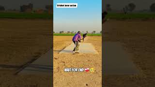 #cricket #cricketlover #viral #viralreels #siraj #viratkohli #short #youtubeshorts #shorts #india