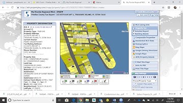 Downloading the MLS Sheet and Public Record