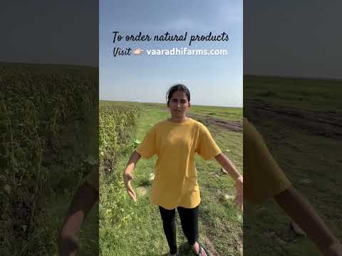 Natural turmeric |