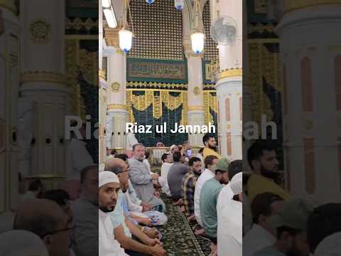 Riaz Ul Jannah on Arafat Day #riazuljannah #madina #hajj2026