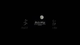 mu’minon#islamicvideo #muslimcontent #quran #yasseraldossary #islamicreminder #allah #shorts #islam