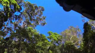 Mt Warning Descent Time Lapse
