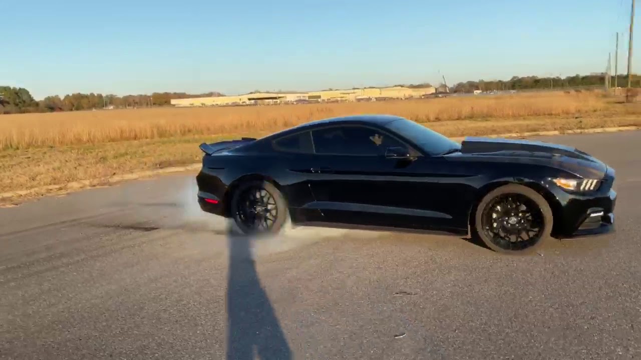 2015 mustang Terminator hood
