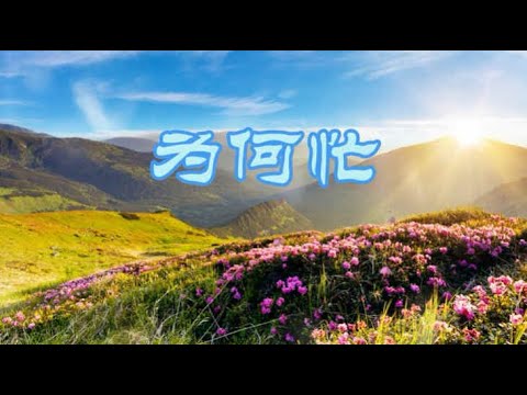 音乐视频：为何忙