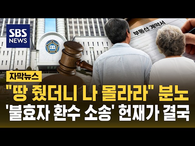 "땅 줬더니 나 몰라라" 분노..'불효자 환수 소송' 헌재가 결국 (자막뉴스) / SBS