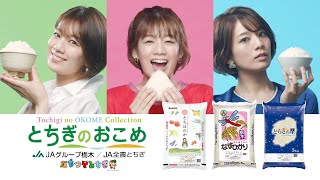 佐藤美樹、華麗に変身　様々な顔で栃木のお米をアピール　JA全農とちぎ TVCM＆コメント