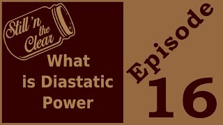What is Diastatic Power | Converting Starch Into Fermentable Sugar