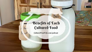 Podcast Episode 246: Benefits of Each Cultured Food
