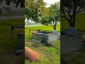 Farm Houseрџ Ї Mini Vlogs Jk Vlogs Shortvideo Short Viral Khetibadi Khet Farm Houseрџ Ї Mini Vlogs Jk Vlogs Shortvideo Short Viral Khetibadi Khet