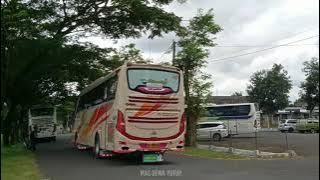 STORY WA BUS MURNI JAYA JEMBLEM 30 DETIK || COCOK BUAT STORY WA KALIAN🗿