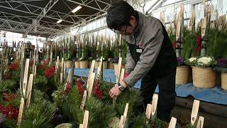 門松の出荷ピーク