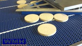 WMH Buffer/Packing Conveyor