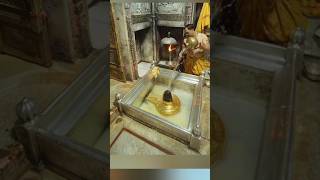 Download Lagu जयति जयति काशी वाले..🙏 #bholenath | #bhajan | #shorts |🚩🚩🕉️🚩🚩❤️ MP3