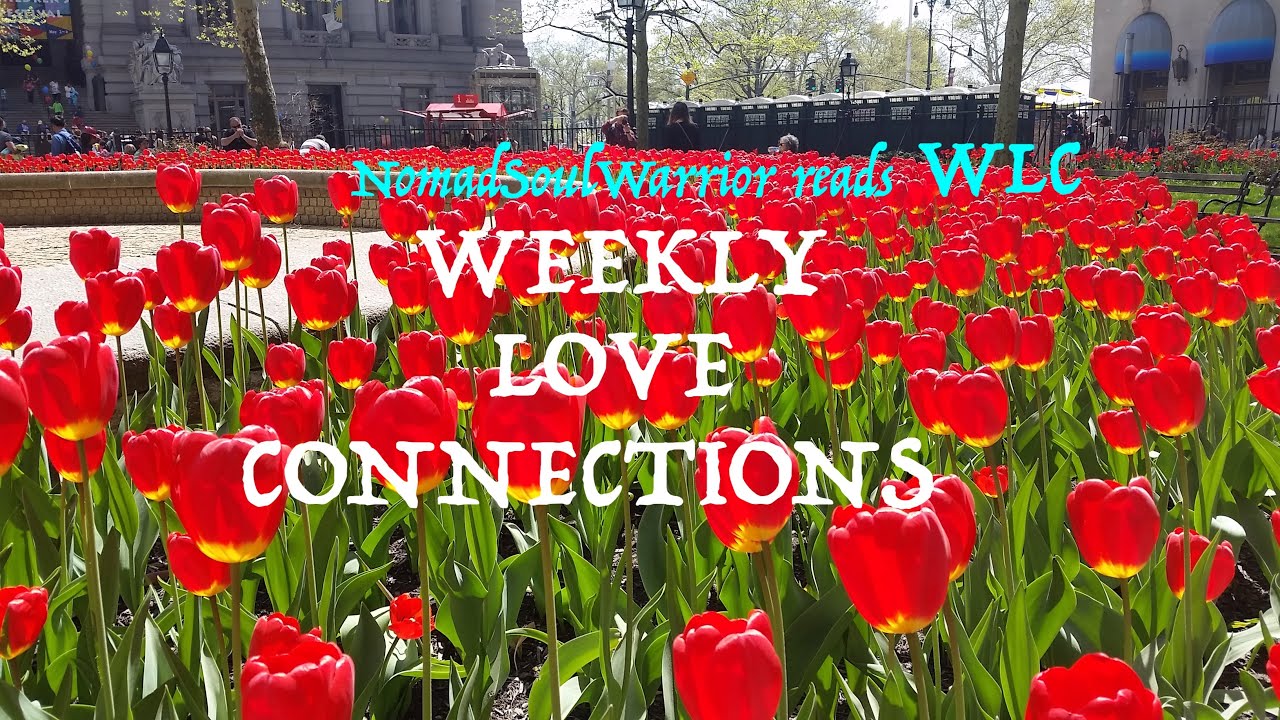 PISCES ~ Someone wonders how you could still love them after all they've done? ~ WLC Tarot June 2020