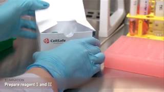 CellSafe Mycoplasma Total Solution