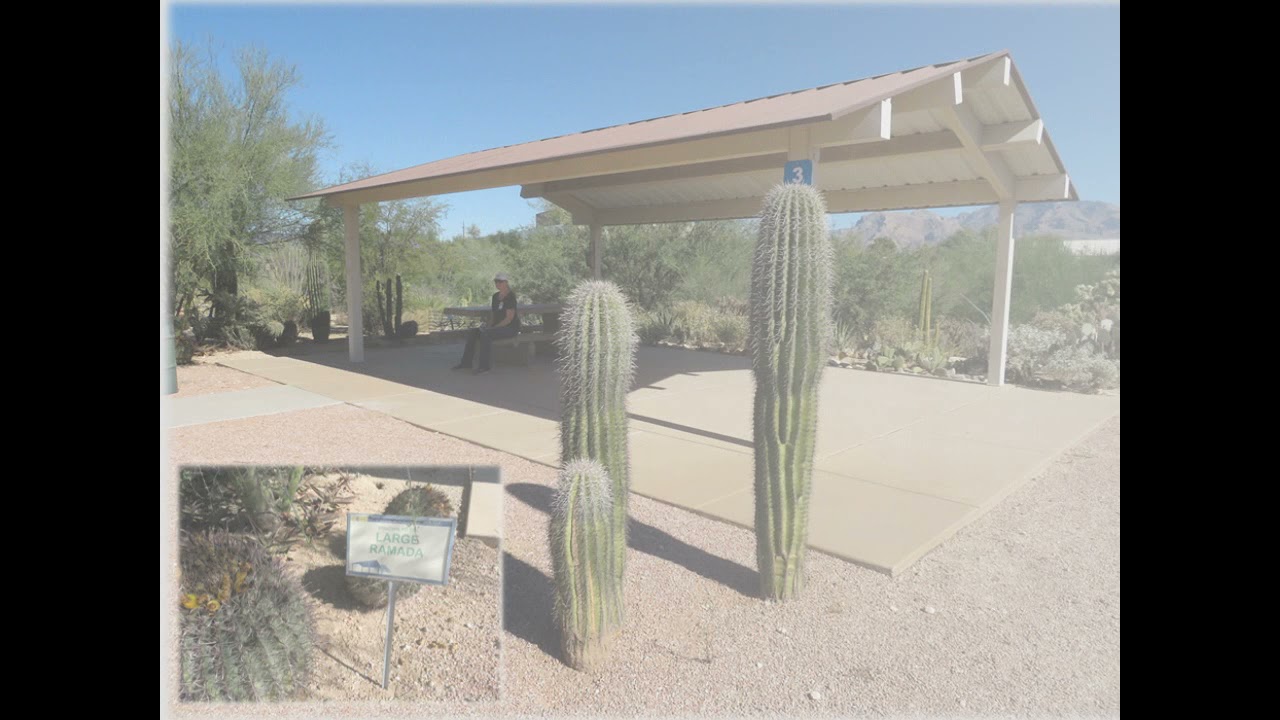 TCSS  Pima Prickly Park Tour - Nov. 13, 2021