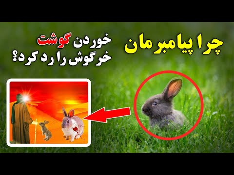 تصویری: آیا لرد شیوا گوشت می خورد؟