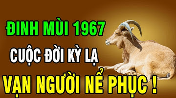 9 Sự Thật bất ngờ về Đinh Mùi 1967: Kiếp người vất vả – bí ẩn cuối đời khiến nhiều người ngỡ ngàng!