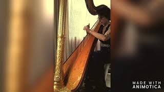 Final Fantasy Crystal Theme  Sailor Moon Star Locket Theme harp Cover