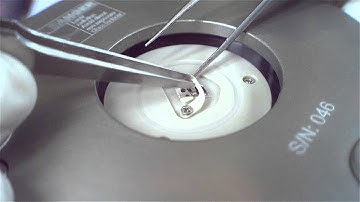 ezAFM AQUA Cantilever Exchange