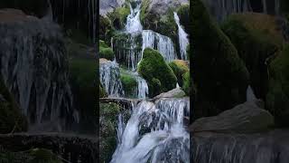 #waterfall #unedited #tinnitus #relief #1 #min #video it's a real unedited natures music