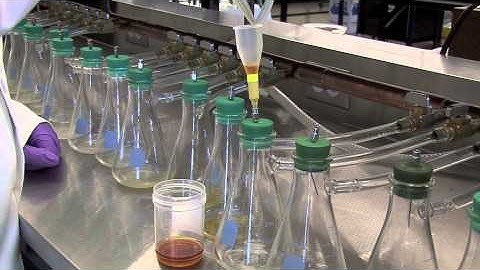 PuriTox Ochratoxin Column