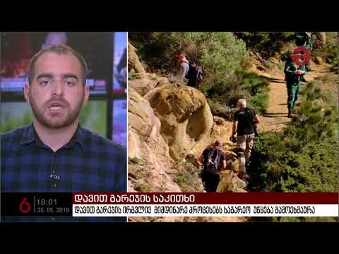დავით გარეჯის ირგვლივ  მიმდინარე პროცესებს საგარეო  უწყება გამოეხმაურა