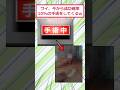 ワイ、今から成功確率10%の手術をしてくるww #2ch面白いスレ #2ch #5ch #shorts