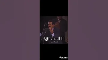 في الاخر سيد خليفه 