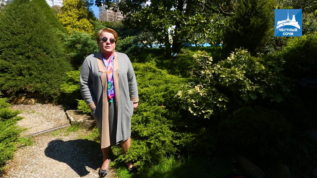 Дерево дружбы Сочи - YouTube