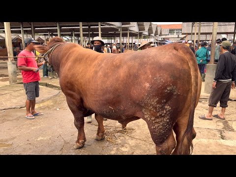 BEGITU INDAH - PADI | ROCK COVER (Nostalgia 2000an)