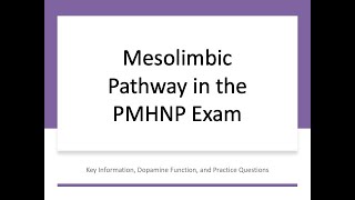 Mesolimbic Pathway PMHNP Exam