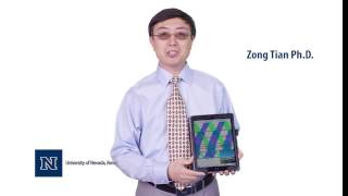 Zong Tian | Knowledge in a Nanosecond