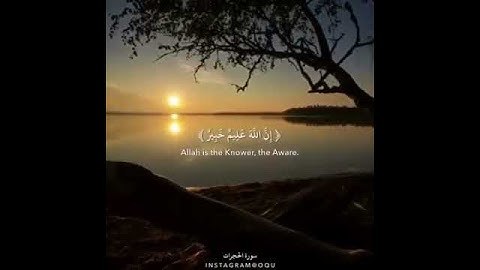 سورة الحجرات بصوت يريح القلب❤️❤️.