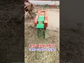 ঘন্টায় ১ টন ৬ ব্লেডের ঘাস কাটার মেশিন - Grass Cutter Machine