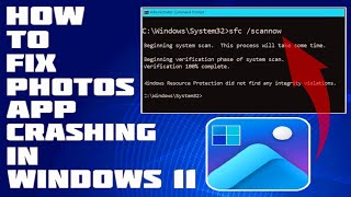 Celebrity How To Fix Photos App Crashing in Windows 11/10 [Solution] Net Worth