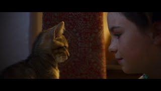 映画『ルー、パリで生まれた猫』予告編