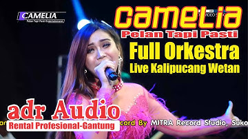 FULL ALBUM-CAMELIA PELAN TAPI PASTI FULL ORKESTRA-LIVE KALIPUCANG WETAN WELAHAN JEPARA