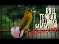 Pleci Legend Ini Sering Bikin Juri Panik Karena Tembakan Fariasi Yang Menonjol Mp3 - Mp4 Download
