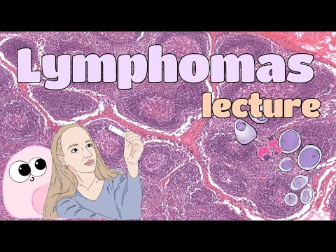 Pathology - Lymphomas (EN)