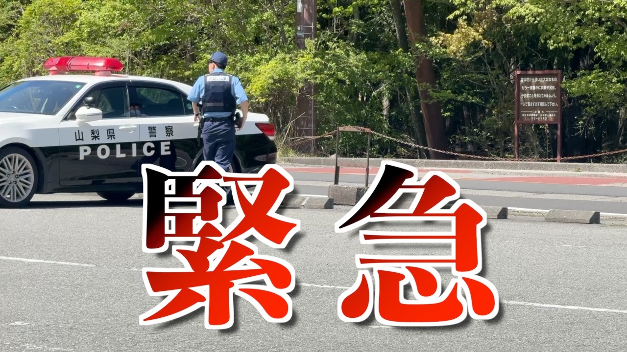 【発見！】女性の消えた指輪、ピンク小物、現金…行方不明者捜索の全記録…樹海の看板を越えた先に…