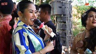 PACE MATENG - ANIK ARNIKA DESA NEGLA BLOK DUKU MAYAG KEC LOSARI 3 NOVEMBER 2022