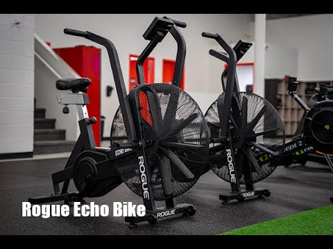 Rogue Echo Gym Timer | Rogue Fitness