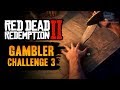 Red Dead Redemption 2 Gambler Challenge #9 Guide - Win 3 ...