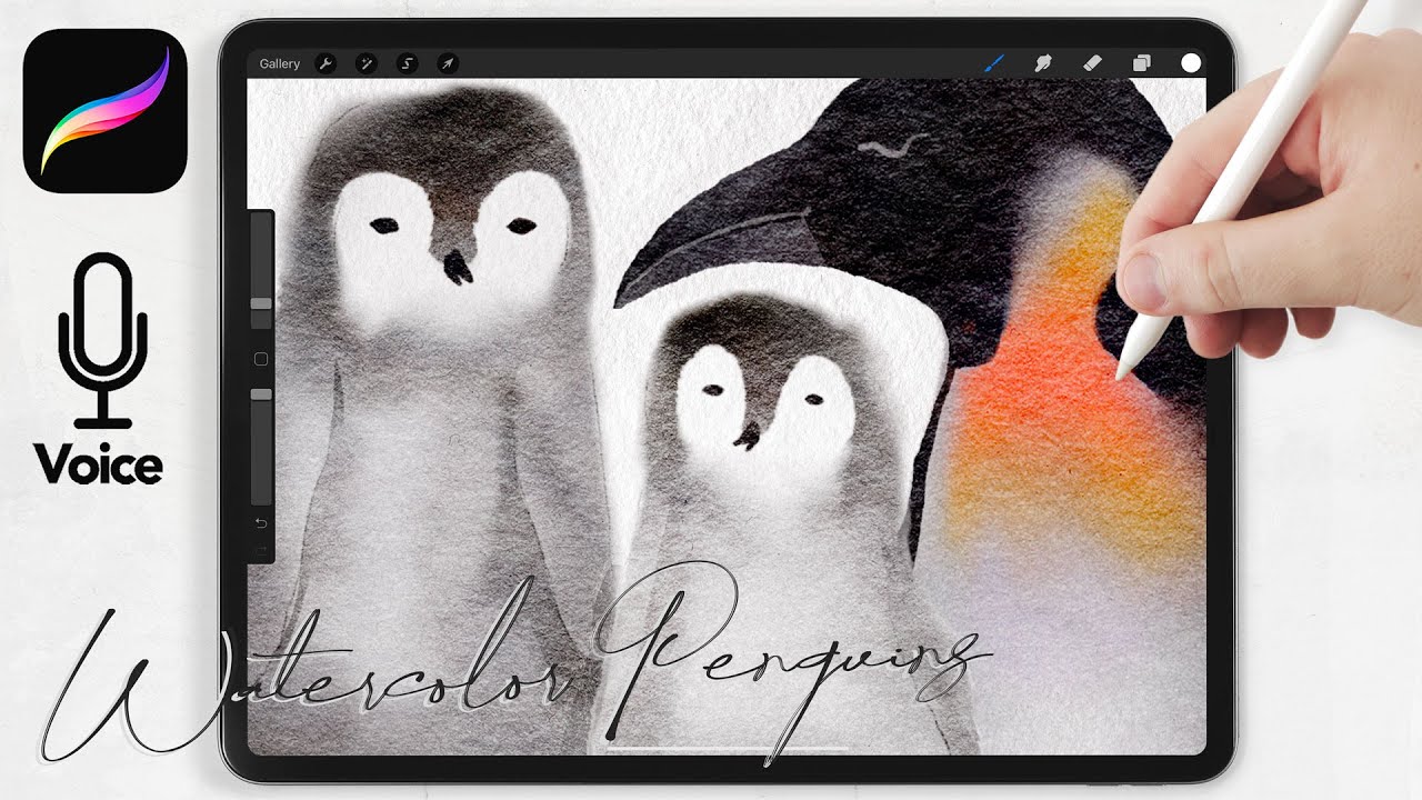 Watercolor Penguins // Cute & Easy Painting Class // Procreate Watercolor Tutorial