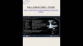 kali linux cmd = fdisk