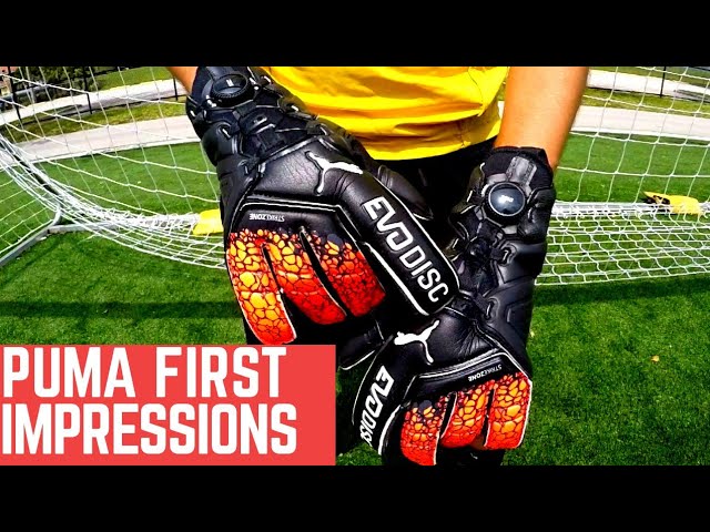 puma evodisc goalkeeper gloves